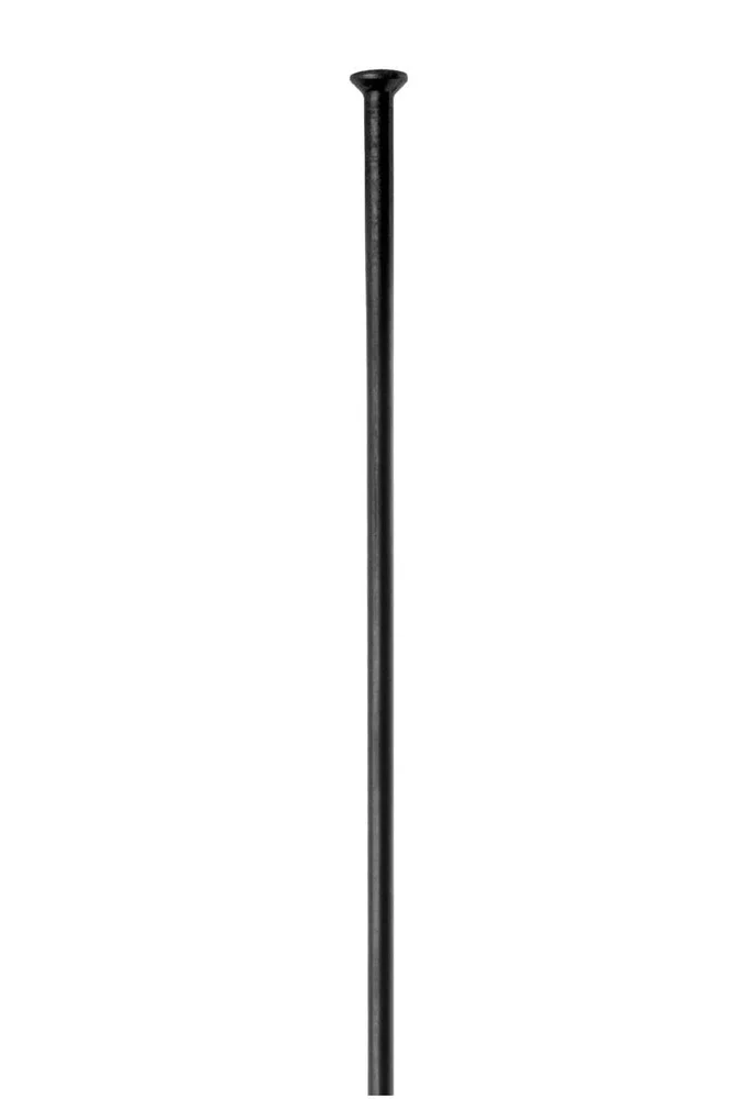 Champion SP Sorte Eiker v:8366655