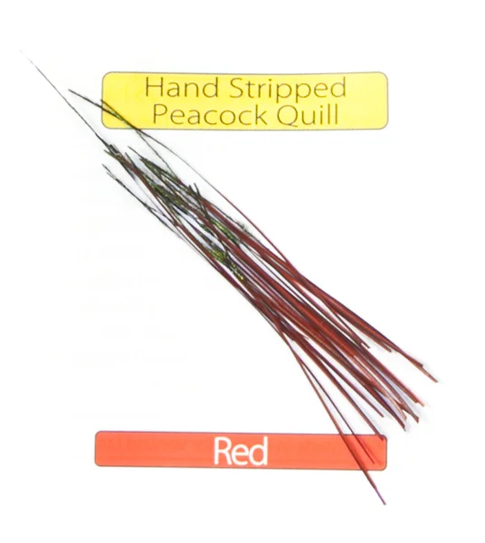 Veniard Stripped Peacock Quills v:7126759