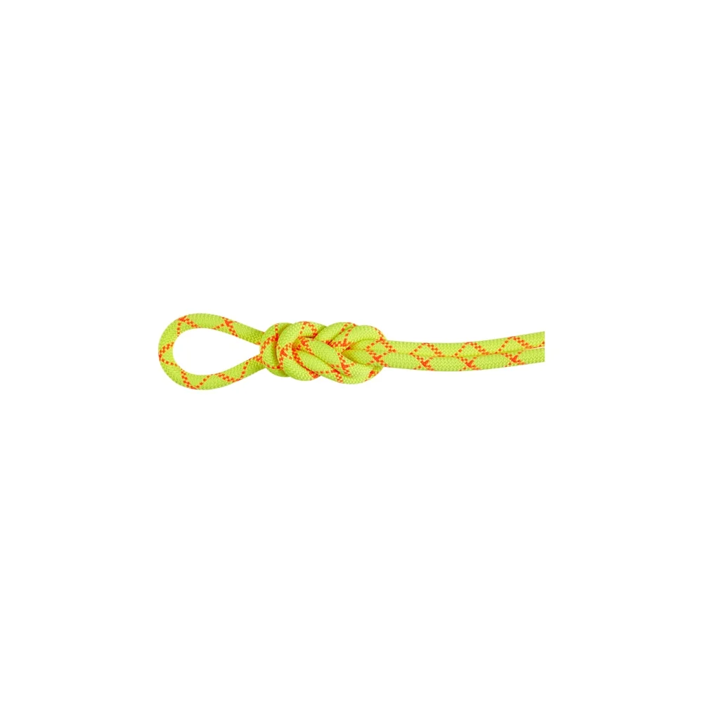 Mammut 9.5 Alpine Core Protect Dry Rope 60m Halo-vibrant Orange v:7668018 Mammut 9.5 Alpine Core Protect Dry Rope 60m Halo-vibrant Orange v:7668018