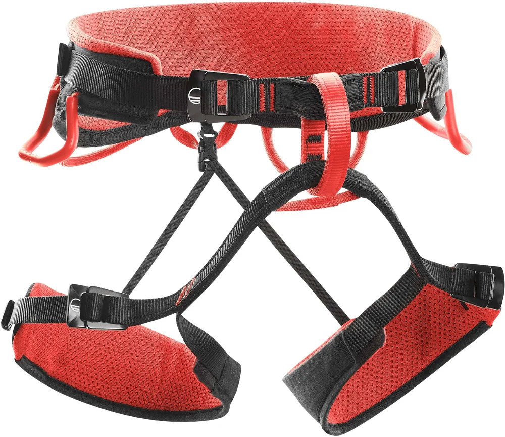 Syncro harness v:452098 Syncro harness v:452098