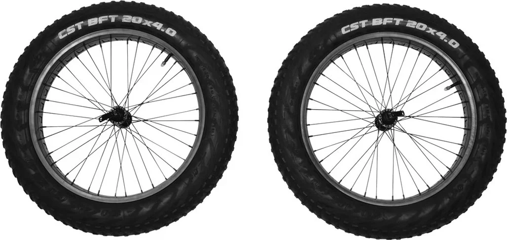 Reacha 20" Fat Tire Wheel set v:7562149