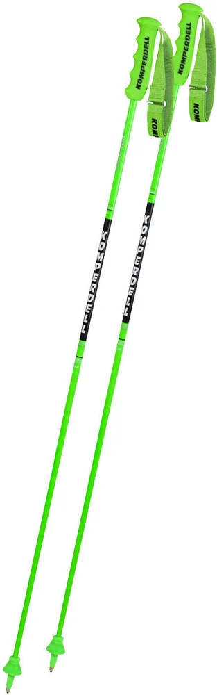Nationalteam Carbon GS 12,3 v:1899195