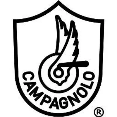 Campagnolo 2 x 44 mm Skruer Sort, 2 x 44 mm, passer til 35 – 39 mm v:9760613 Campagnolo 2 x 44 mm Skruer Sort, 2 x 44 mm, passer til 35 – 39 mm v:9760613