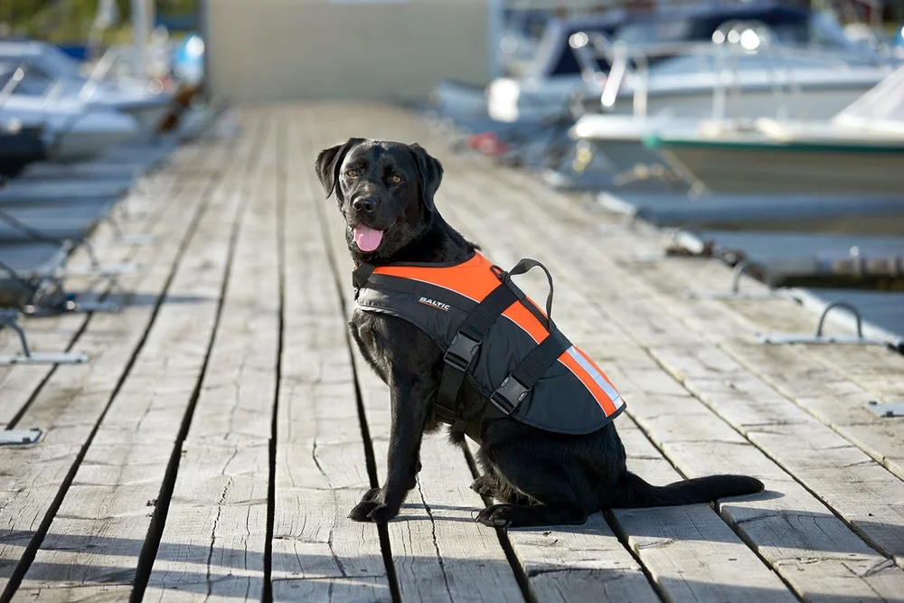 Baltic Pet Aid Mascot Uv-yellow, Black v:8664389