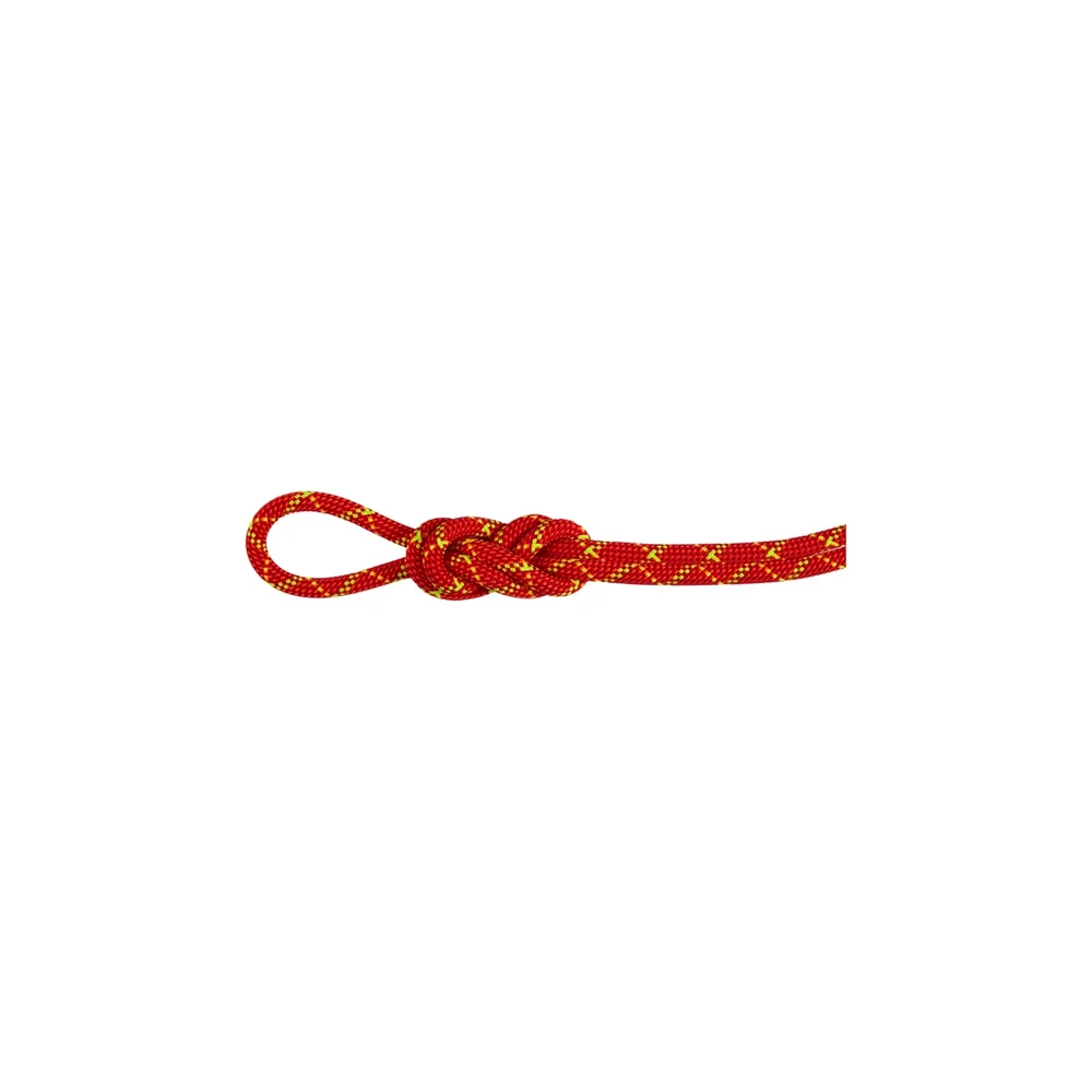 Mammut 8.0 Alpine Core Protect Dry Rope 40m Fire-halo v:5020777 Mammut 8.0 Alpine Core Protect Dry Rope 40m Fire-halo v:5020777